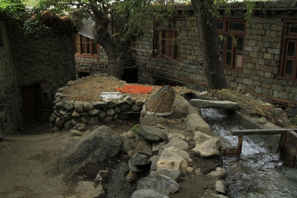 Apricots drying beside a village water channel